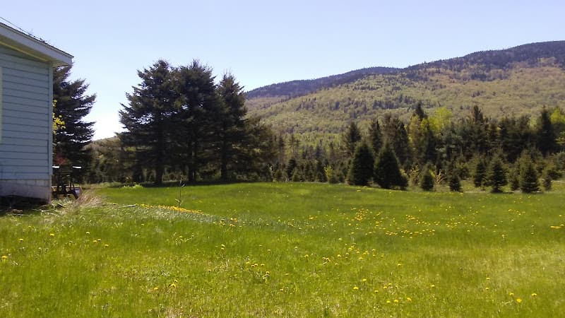 Baum Farm