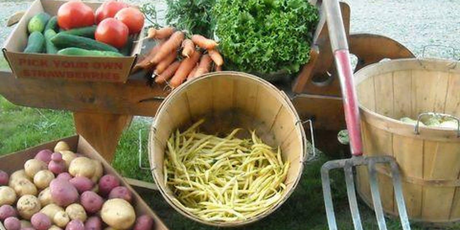 Berry Creek Farm