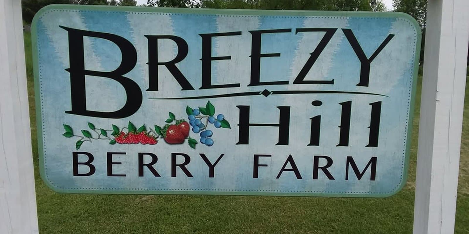 Breezy Hill Berry Farm