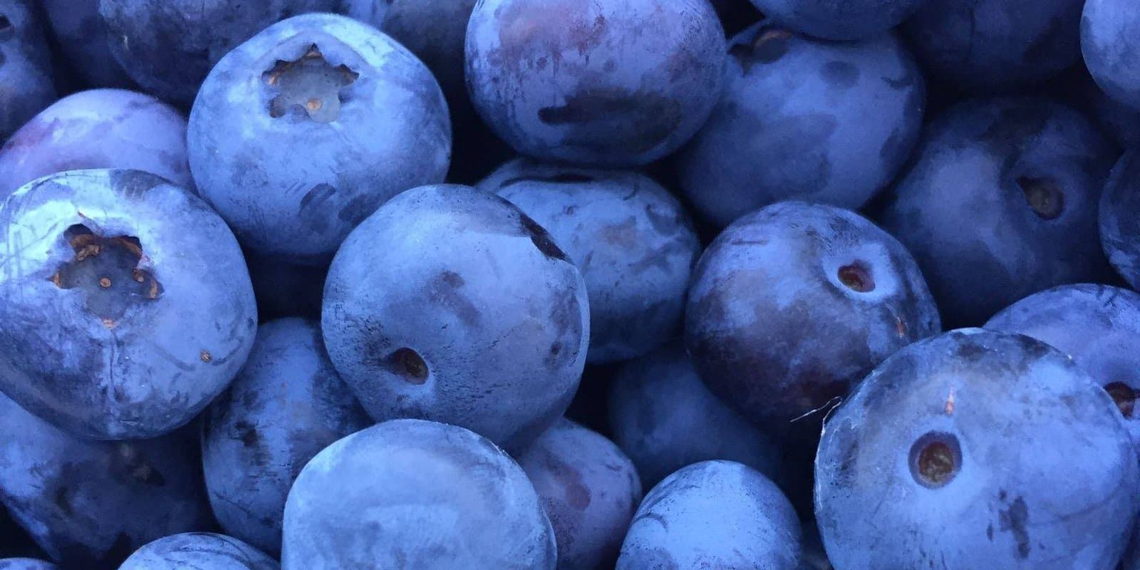 Brown's Beautiful Blueberries