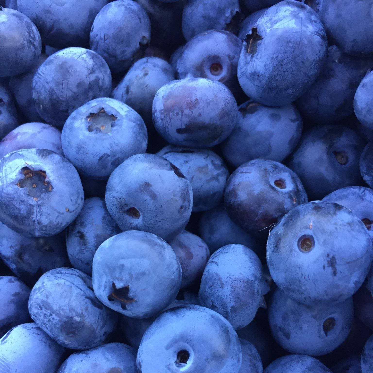 Brown's Beautiful Blueberries