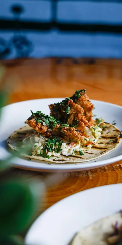 Taco Tuesday is Here ๐ฎ + ๐บ = โค๏ธ
Every Tuesday at the taproom, weโre serving up Taco Tuesday Special