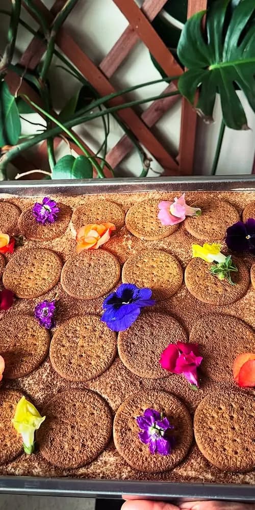 Mamajuana Tiramisu. Made with Dominican Vanilla, Mamajuana, Dominican Cocoa and Maria Cookies. An od
