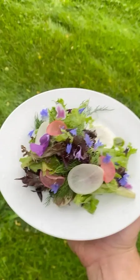 Spring and Summer, two pre-set beauties that set the tone for the rest of the meal.
Our spring gree