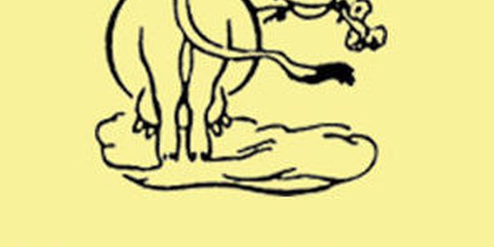 Cloudland Farm