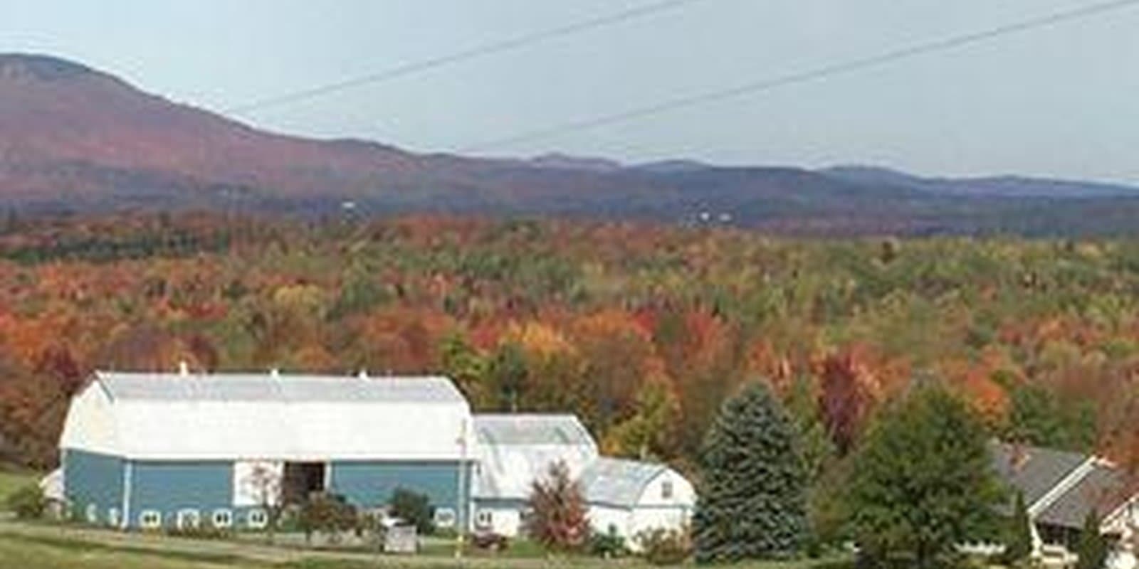Collins Mill Road Farm
