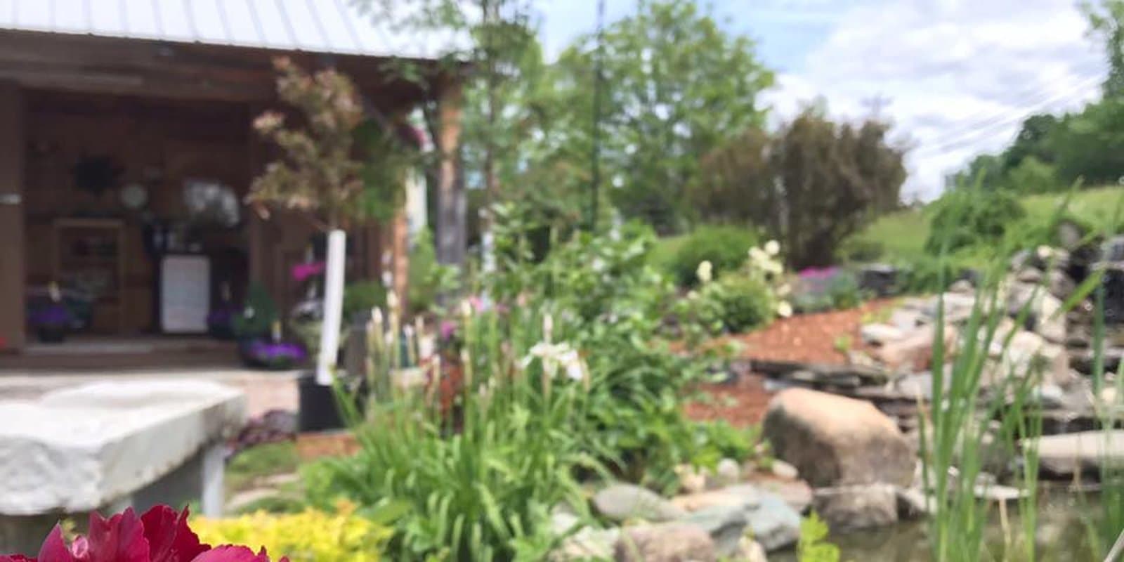 Creative Gardens and Landscaping
