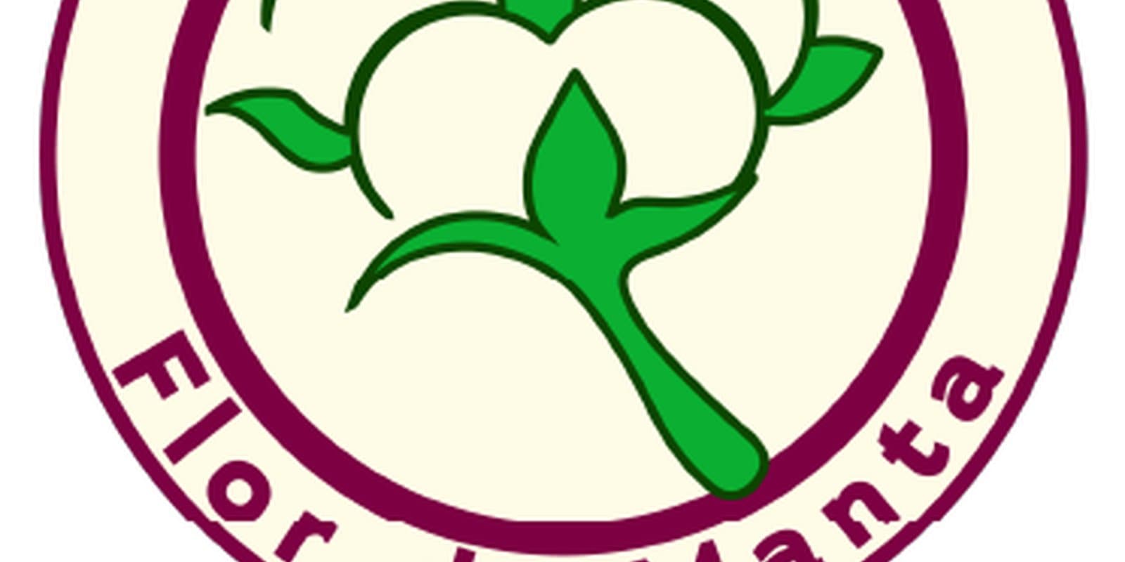 Flor de Manta