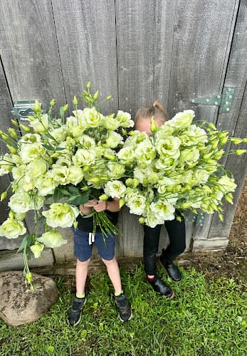 Four Blooms Farm, LLC