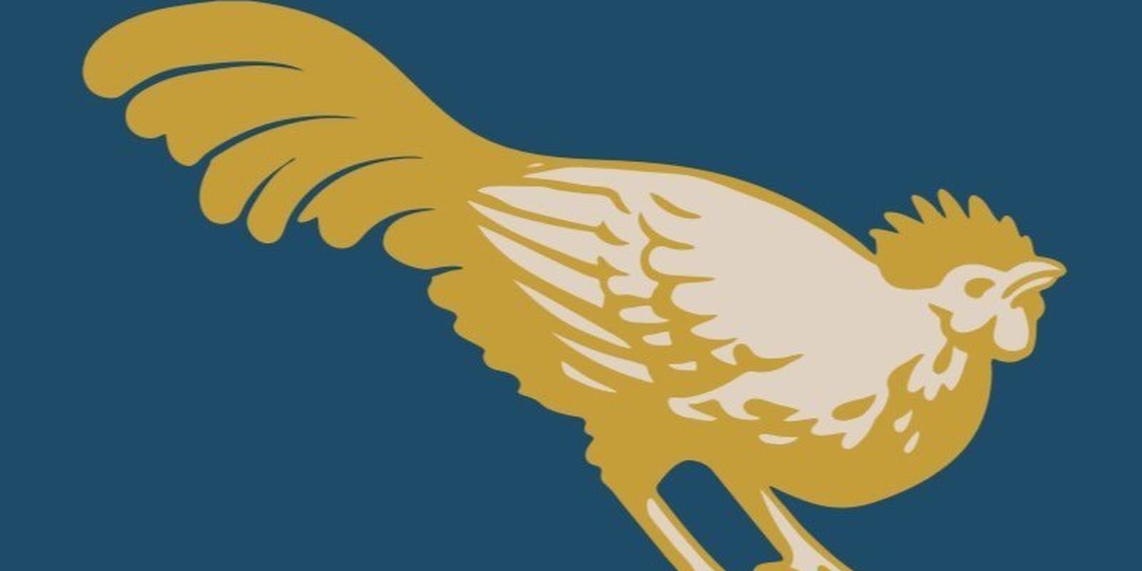 Gallus Handcrafted Pasta