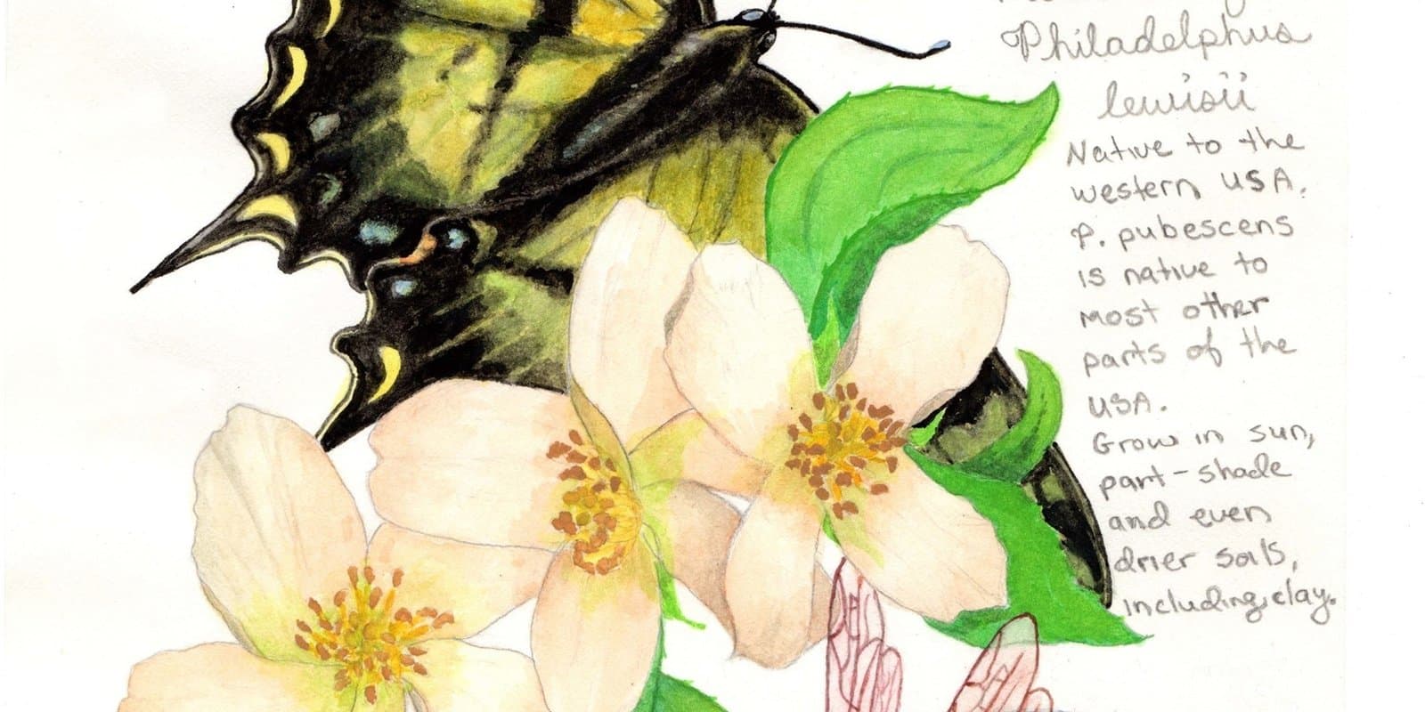 Green Blossom Painting