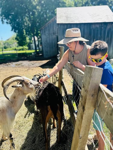 Kinder Way Berry Farm and Sanctuary