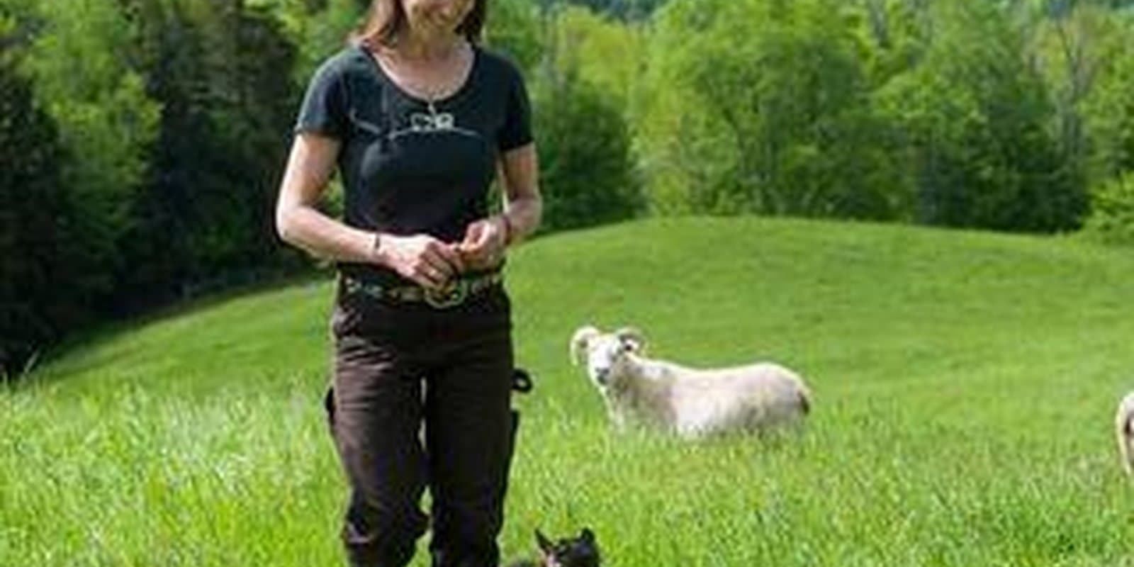 Knoll Farm