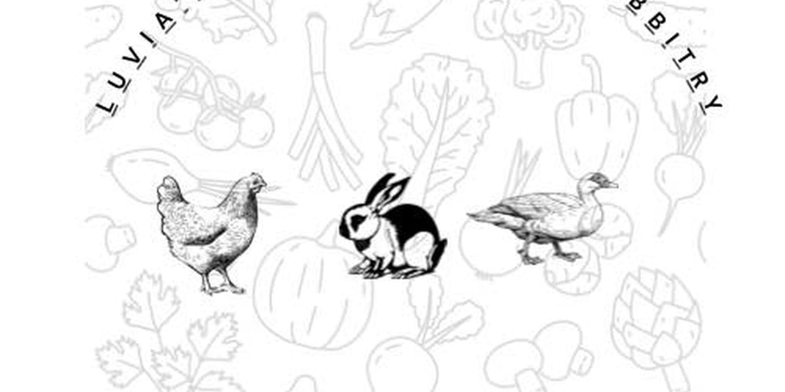 Luvia's Homestead and Rabbitry