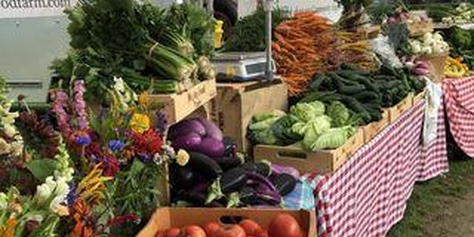 Mighty Food Farm