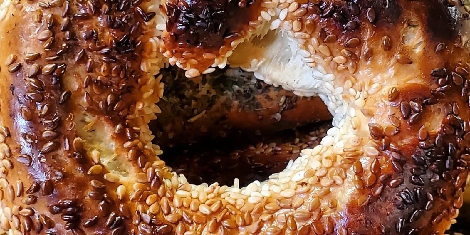Myer's Bagels