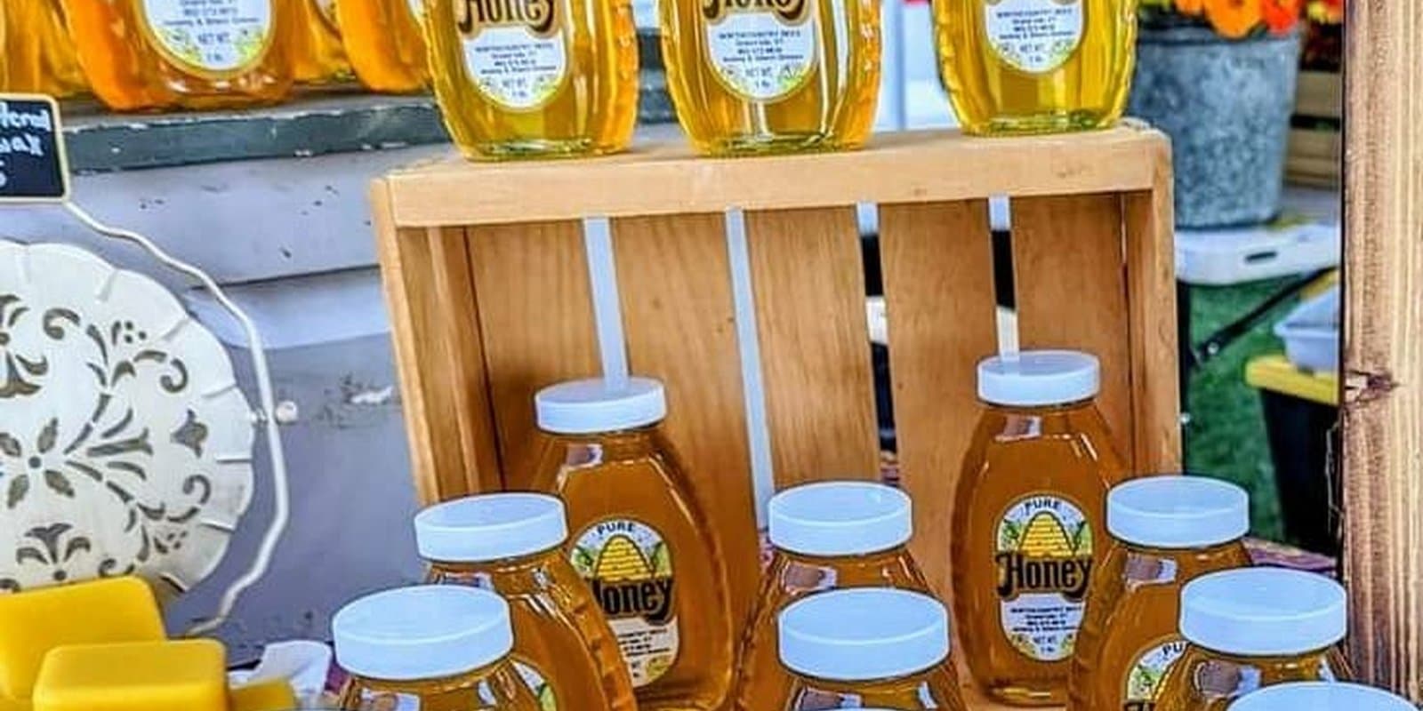 North Country Bees