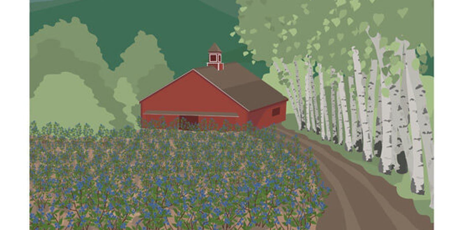 North Hollow Berry Farm