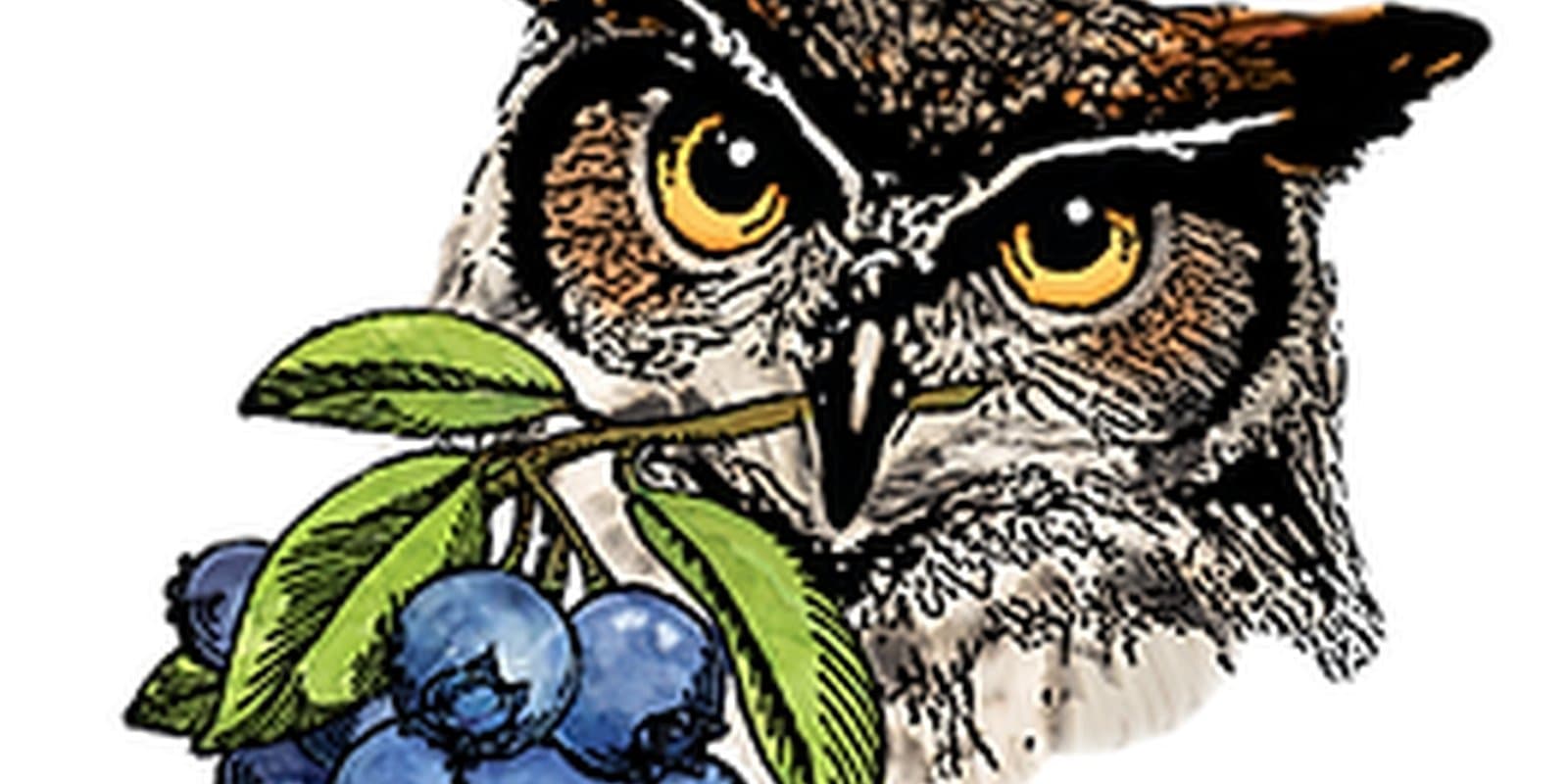 Owl's Head Blueberry Farm