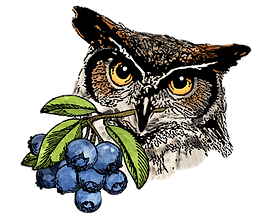 Owl's Head Blueberry Farm