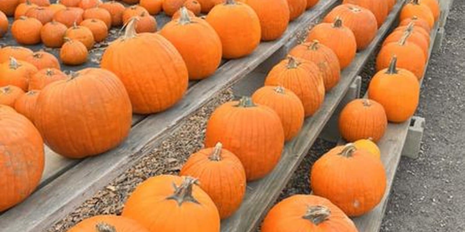 Sam Mazza's Farm Market