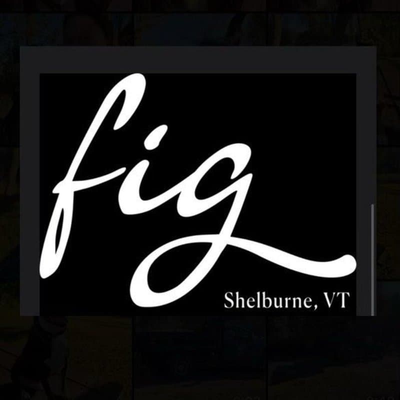 Shelburne Fig