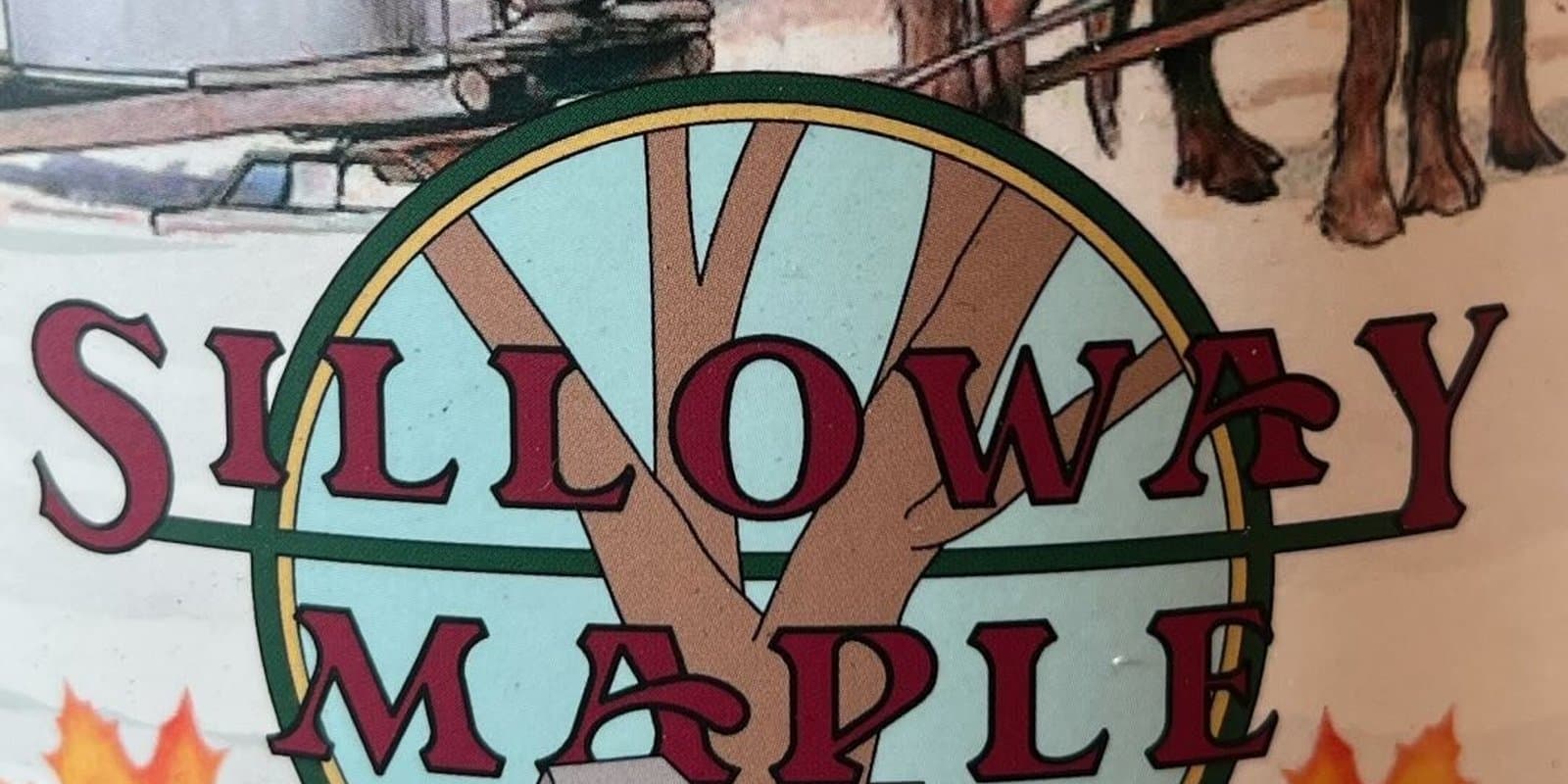 Silloway Maple
