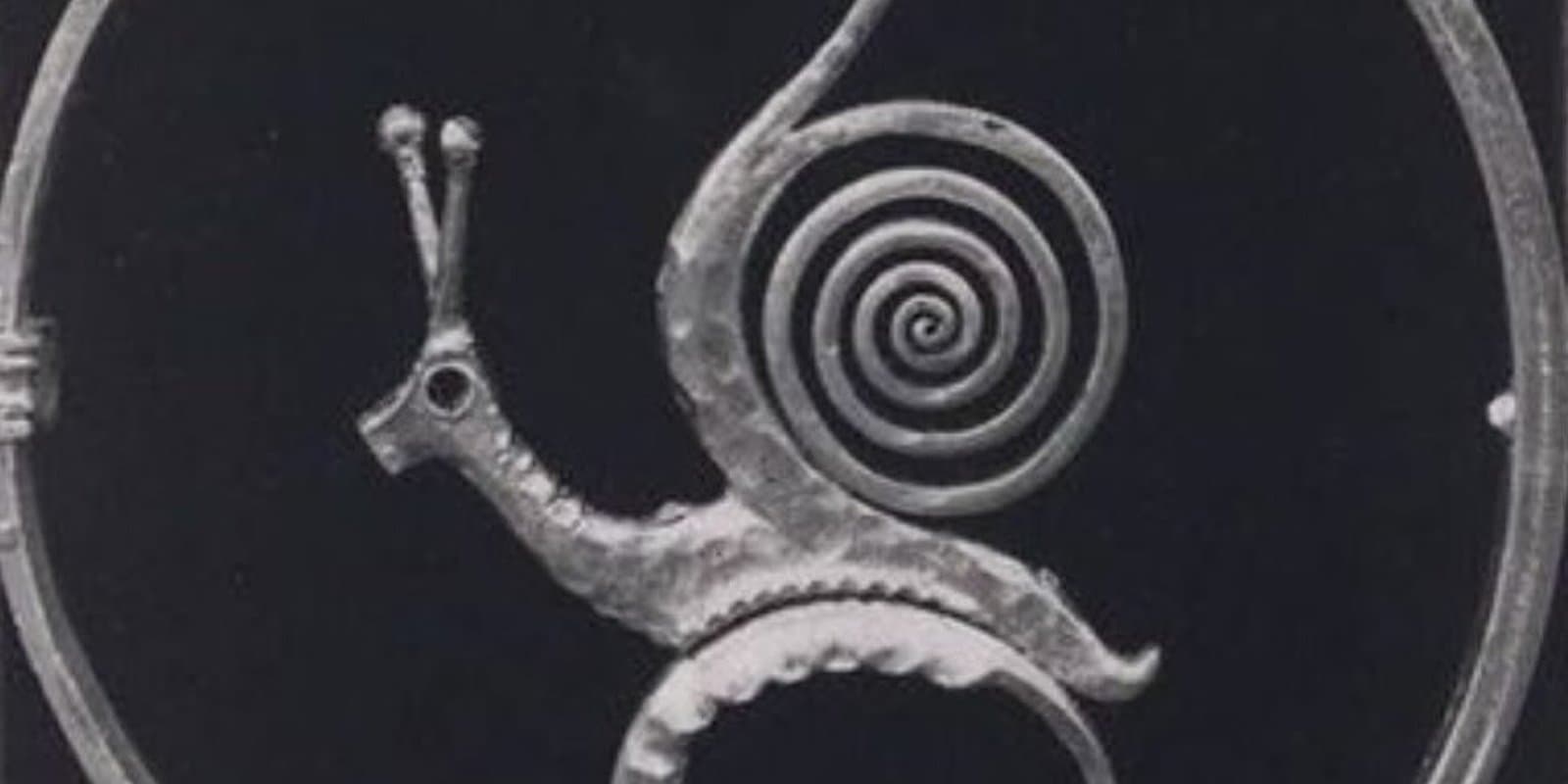 Spiral House Art Collective