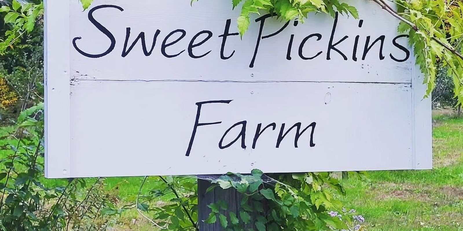 Sweet Pickins Farm