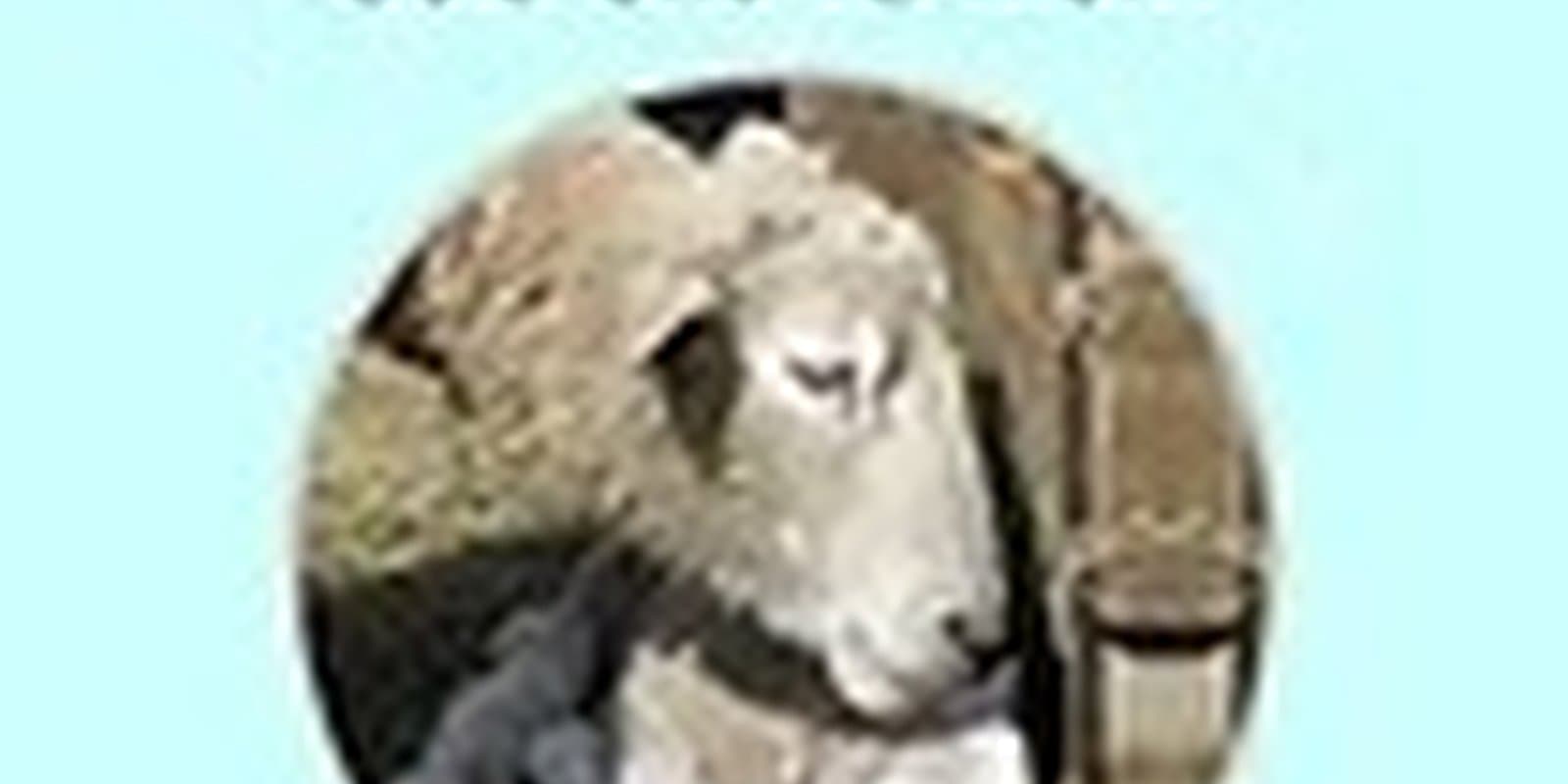 The Sheep Farm