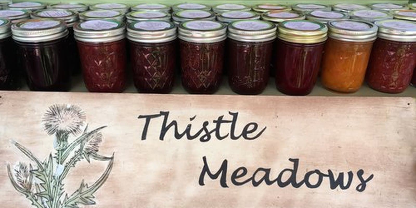 Thistle Meadows