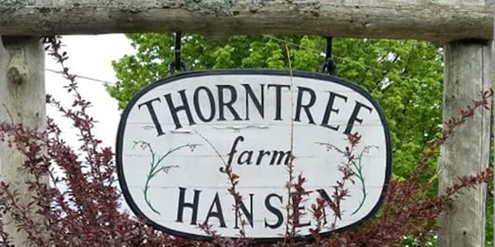 Thorntree Farm
