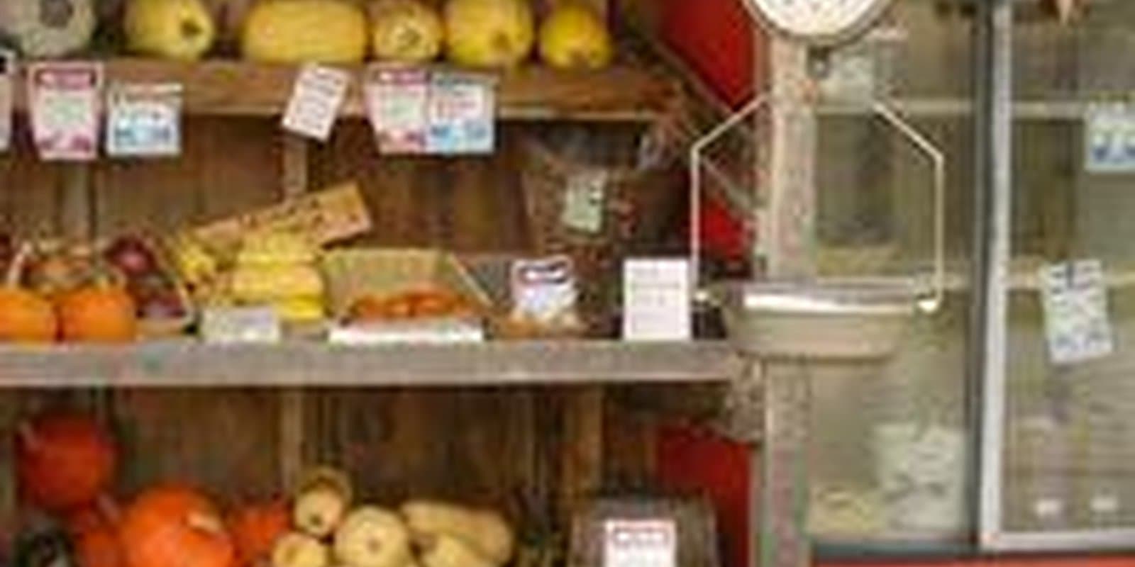 Too Little Farm