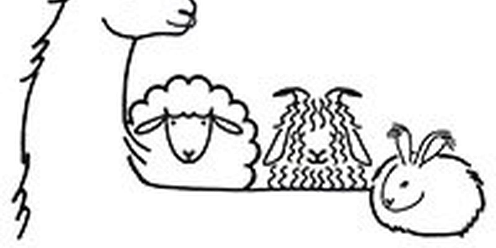 Vermont Sheep & Wool Festival