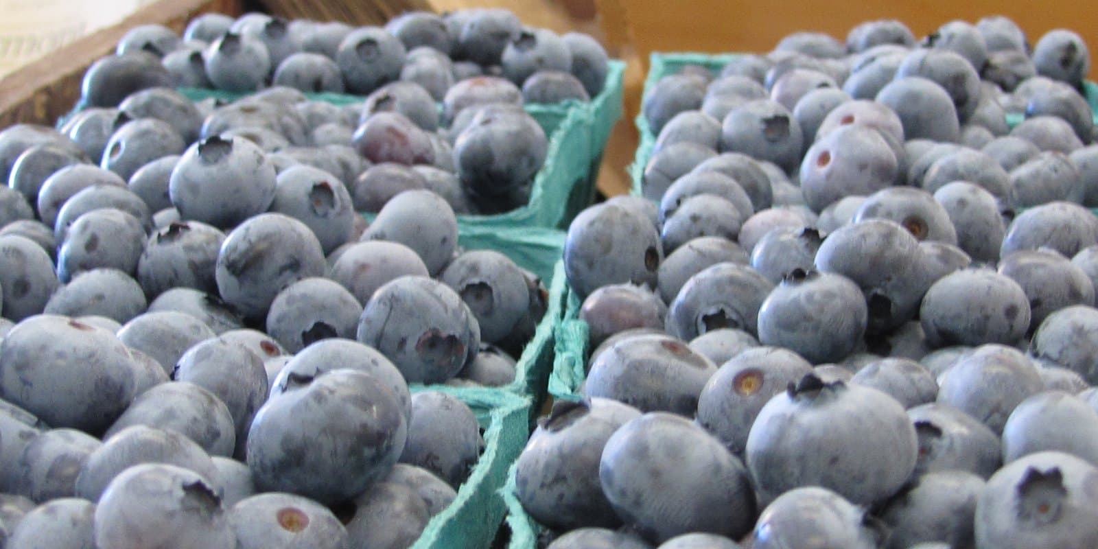 Wellwood Orchards Inc.