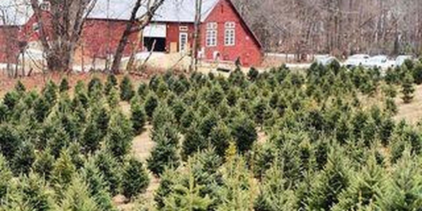 Winslow Farms