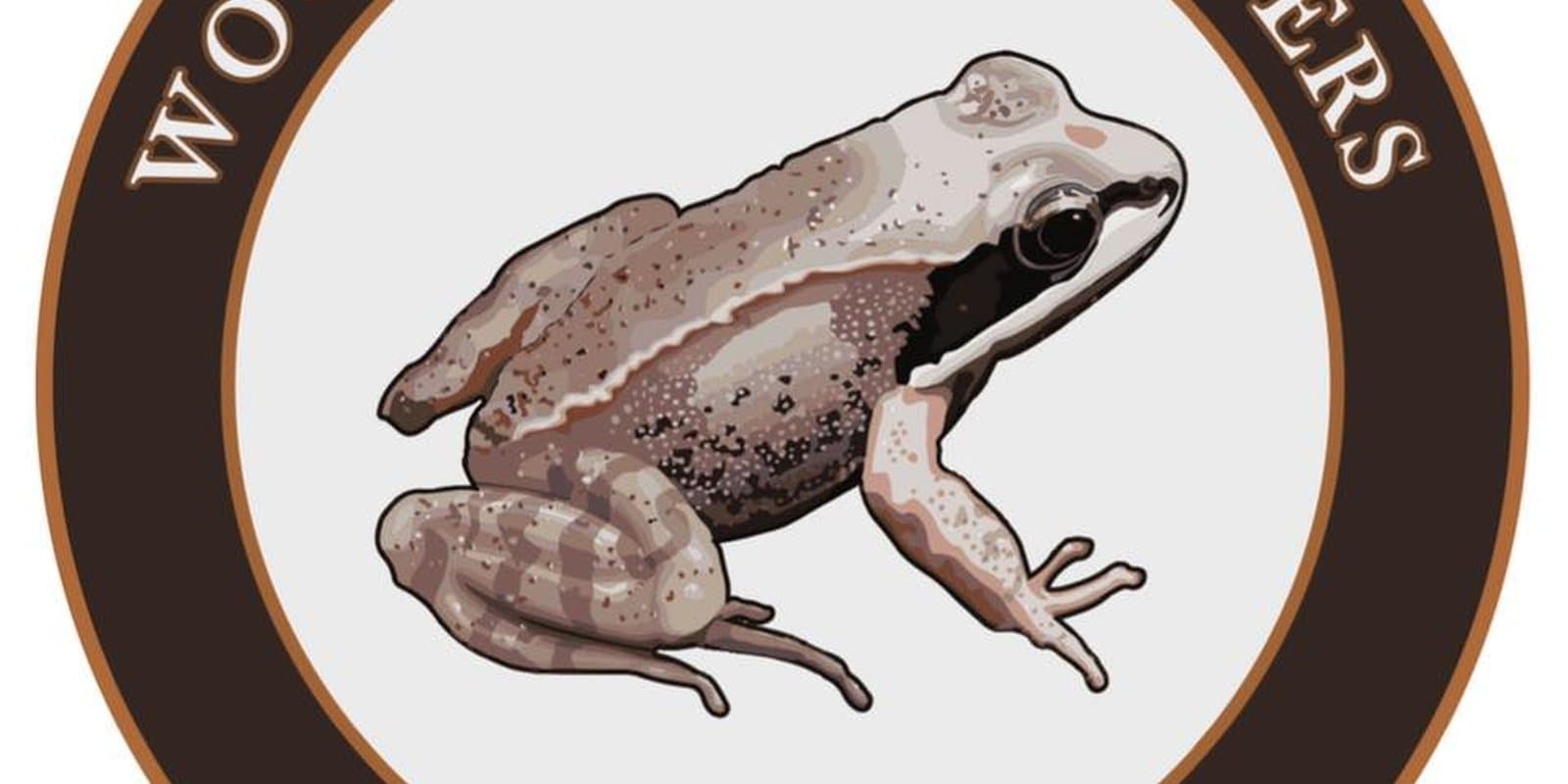 Wood Frog Flowers
